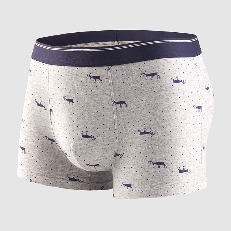 4pcs Men's Panties Sexy Shorts - مراجعة Boxer Brief Pack Cotton وسعره