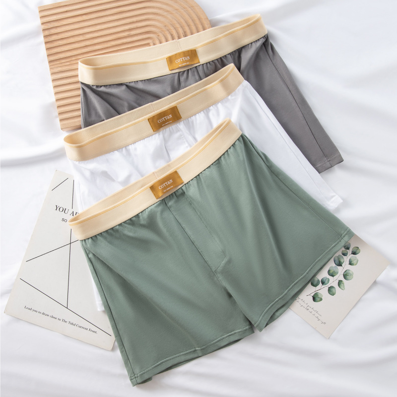 4pcs Male Arrow Pants Men Cott - مراجعة Boxer Brief Pack Cotton وسعره