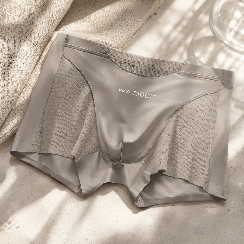 Simple Mesh Ice Silk Underwear - مراجعة Mesh Sport Boxer وسعره