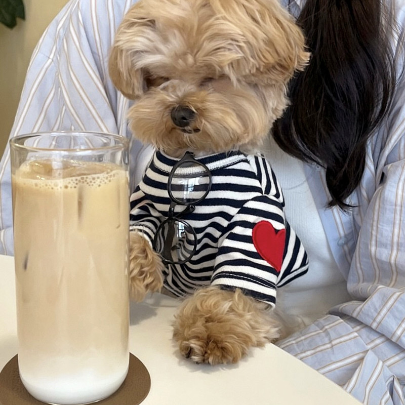 Dog Vest for Small Dogs Pet Do - مراجعة Sleeveless Undershirt وسعره